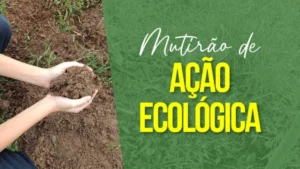 Dia 27-09 acontece o mutirão plantio de mudas